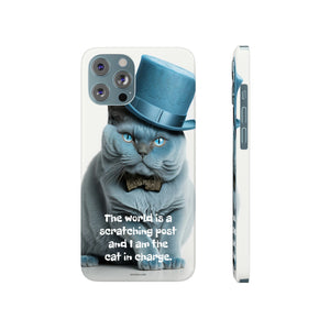 The world is a scratching post iphone case